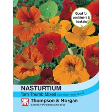Nasturtium Tom Thumb Mixed