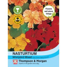 Nasturtium Whirlybird Mixed