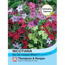 Nicotiana Eau De Cologne Mixed F1 Hybrid