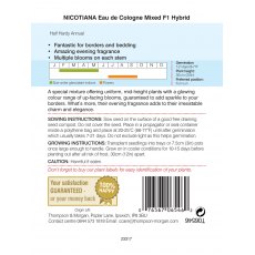 Nicotiana Eau De Cologne Mixed F1 Hybrid