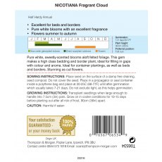 Nicotiana Fragrant Cloud