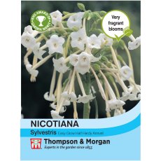 Nicotiana sylvestris