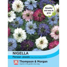 Nigella Persian Jewels Mixed