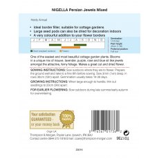 Nigella Persian Jewels Mixed