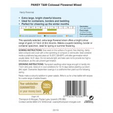 Pansy T&M Colossal Flowered Mixed