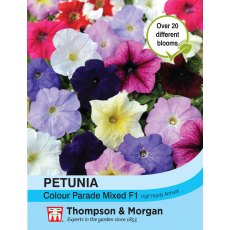 Petunia Colour Parade Mixed F1 Hybrid