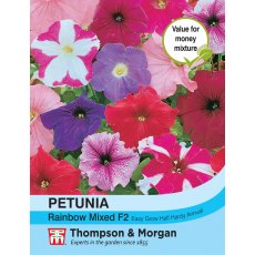 Petunia Rainbow Mixed F2 Hybrid