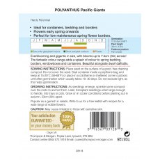 Polyanthus Pacific Giants Mixed