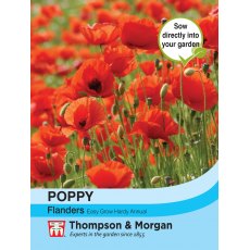 Poppy Flanders