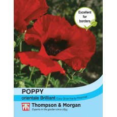Poppy Brilliant