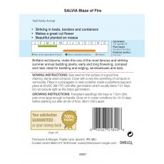 Salvia Blaze of Fire