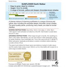 Sunflower Earth Walker