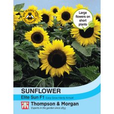 Sunflower Elite Sun F1 Hybrid