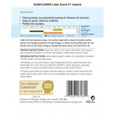 Sunflower Little Dorrit F1 Hybrid