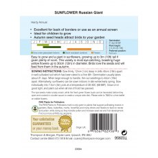 Sunflower Russian Giant