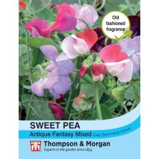 Sweet Pea Antique Fantasy Mixed