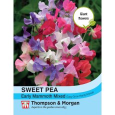 Sweet Pea Early Mammoth Mixed