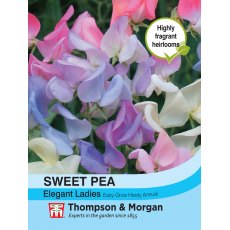 Sweet Pea Elegant Ladies