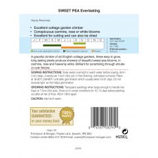 Sweet Pea Everlasting Mixed (Lathyrus)