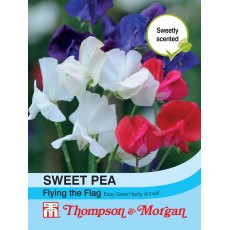 Sweet Pea Flying the Flag