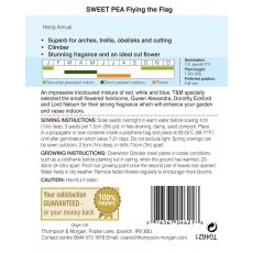 Sweet Pea Flying the Flag