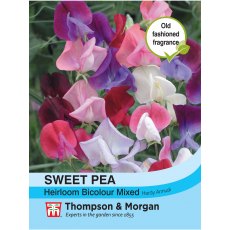 Sweet Pea Heirloom Bicolour Mix