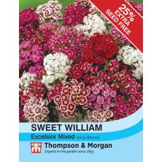 Sweet William Excelsior Mixed