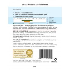 Sweet William Excelsior Mixed