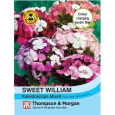 Sweet William Kaleidoscope Mixed