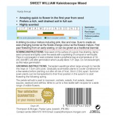 Sweet William Kaleidoscope Mixed