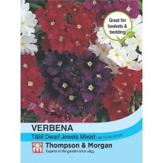 Verbena Dwarf Jewels Mixed Verbena Dwarf Jewels Mixed