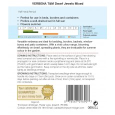 Verbena Dwarf Jewels Mixed Verbena Dwarf Jewels Mixed