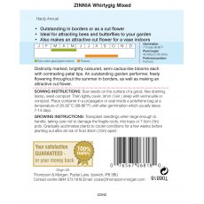 Zinnia Whirlygig Mixed Zinnia Whirlygig Mixed