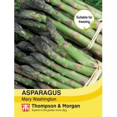 Asparagus Mary Washington