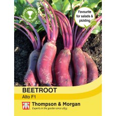 Beetroot Alto F1 Hybrid