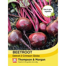 Beetroot Detroit 2 Crimson Globe