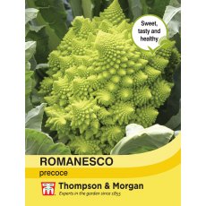 Broccoli Romanesco