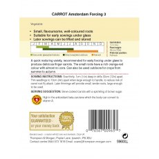 Carrot Amsterdam Forcing 3