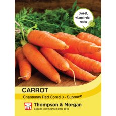 Carrot Chantenay Red Cored 3 - Supreme