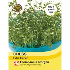 Cress