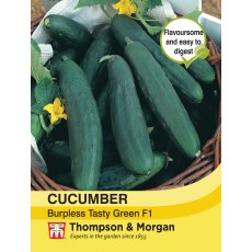 Cucumber Burpless Tasty Green