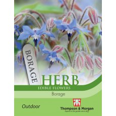 Herb Borage
