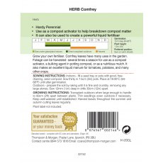 Herb Comfrey