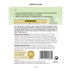 Herb Coriander