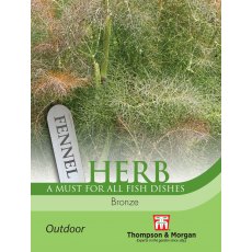 Herb Fennel Bronze
