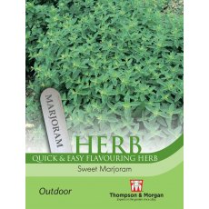 Herb Marjoram Sweet