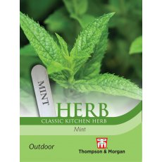Herb Mint (Peppermint)