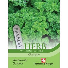 Herb Parsley Champion