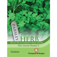 Herb Parsley Plain Leaved (Sheeps) 2