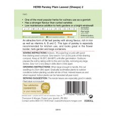 Herb Parsley Plain Leaved (Sheeps) 2